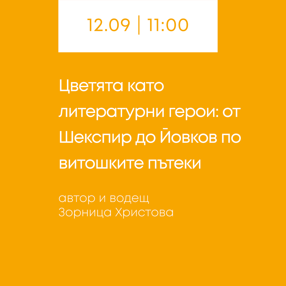hover-zori-sept-26-02-нов